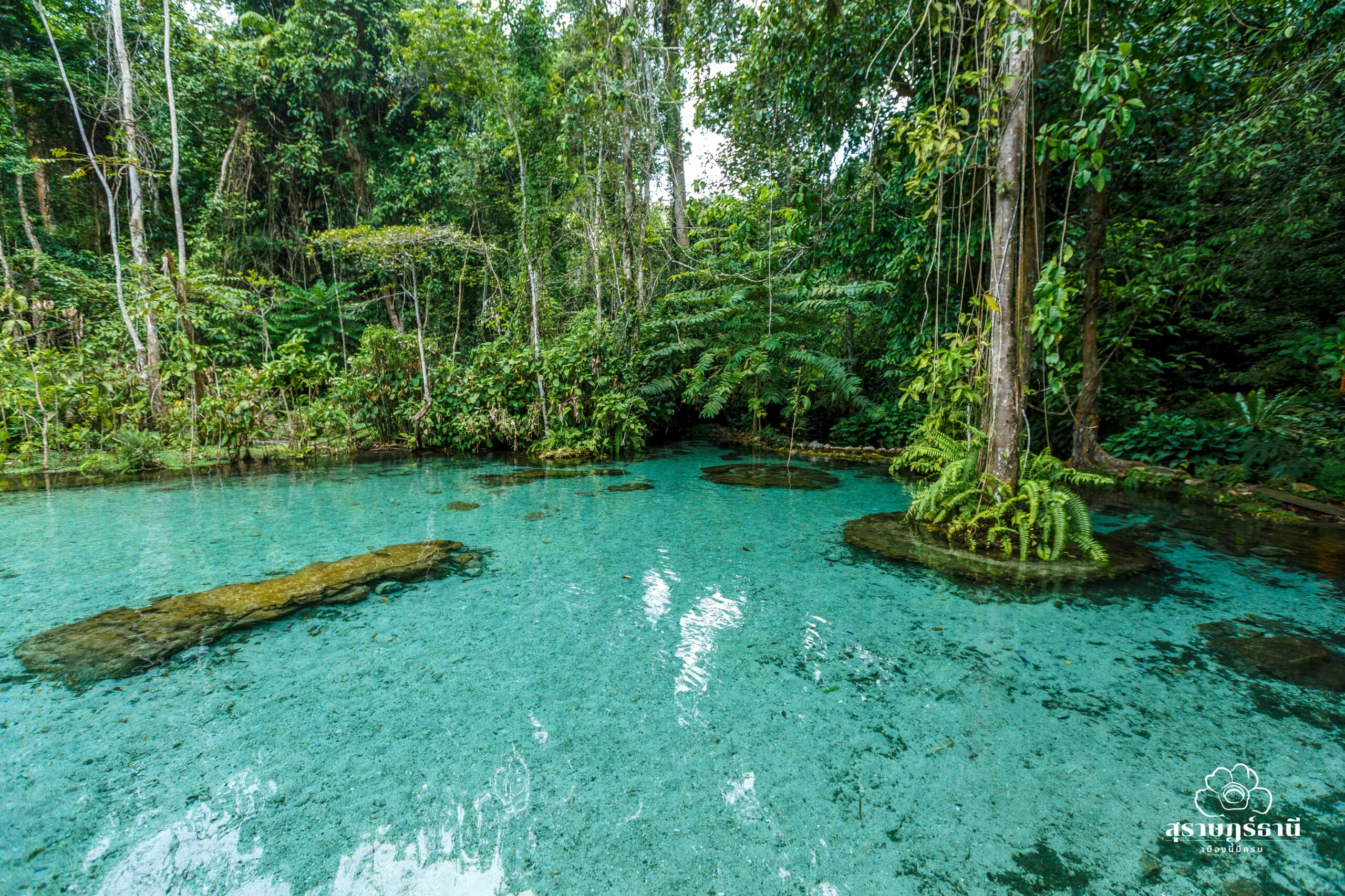 ป่าต้นน้ำบ้านน้ำราด บ่อน้ำสีฟ้าธรรมชาติ Unseen สุราษฎร์ธานี