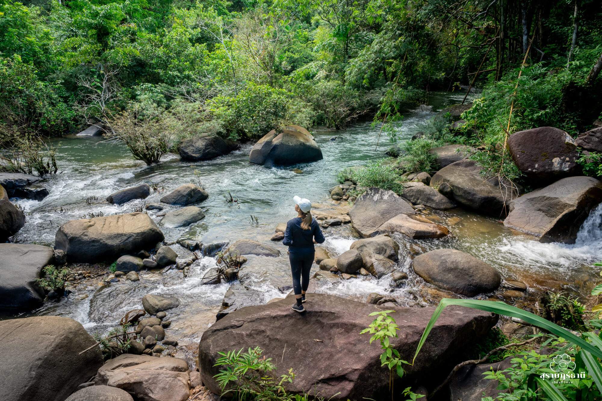 เดินป่า ดื่มด่ำธรรมชาติ ที่อุทยานแห่งชาติเขาสก